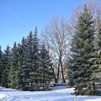 Прогулка по любимому городу :: Лидия (naum.lidiya)