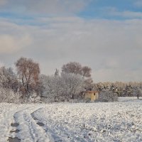 Зима рисует снежные картины :: Liliya Kharlamova