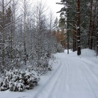 Уже не робким снегопадом... :: Лесо-Вед (Баранов)