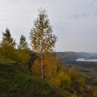 Осень на Окском склоне... :: Григорий Вагун*