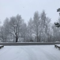 Зима :: Светлана Ященко