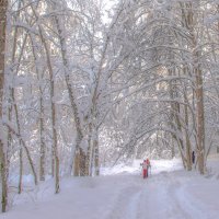 *** :: Владимир Безбородов