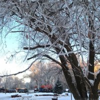 Морозным днем в городе :: Елена Семигина