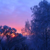 Зимний  пейзаж :: Наталья Тагирова