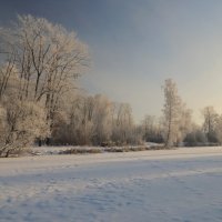 Красивая зима :: Светлана 
