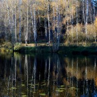 В парке осеннем...... :: Юрий Цыплятников