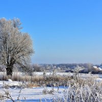 Зимний вид на Воскресенскую церковь :: Oleg S 