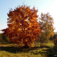 Начало осени в Клястицах :: Андрей Буховецкий