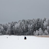 Рыбалка в Карелии. :: Николай Тренин