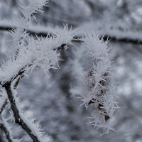 В снежном "плену" :: Милешкин Владимир Алексеевич 