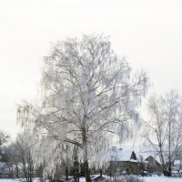 Зима в деревне :: Александр 