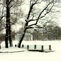 зимой в парке :: Сергей 