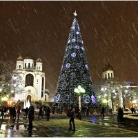 Площадь, ёлка, +2, снег с дождём, Калининград, сегодня. :: Валерия Комова