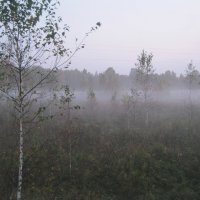 туман :: Сергей Расташанский
