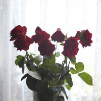 Ваза с розами :: Николай Холопов