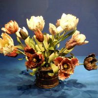 Фарфоровые тюльпаны :: Надежда 