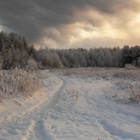 *** :: Анжела Пасечник