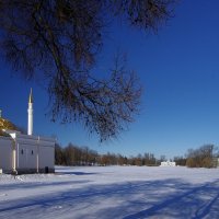 Большой пруд в марте... :: Юрий Куликов