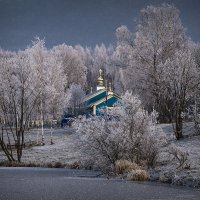 Среди сосен и берёз :: Юрий Велицкий