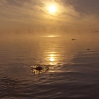 Февральский вечер на Нововоронежском водохранилище 2018 :: Юрий Клишин