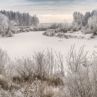 Морозно.... :: Любовь Потеряхина