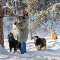 Королева лесных собак и птиц 1 :: Сергей 