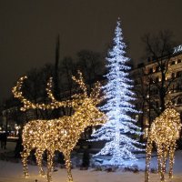 Рождественский Хельсинки :: veera v