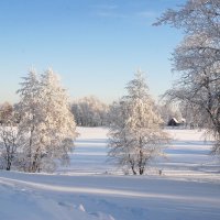В снегах :: Николай Танаев