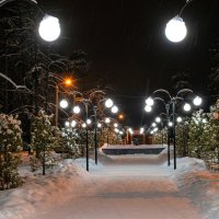 Зимний вечер в парке :: Владимир Ефимов