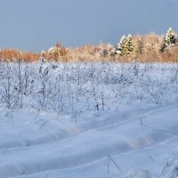 *** :: Алексей Соловьев