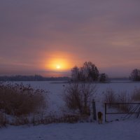 Январь не за горами :: liudmila drake