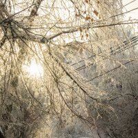 В нашем дворе :: Олег Манаенков