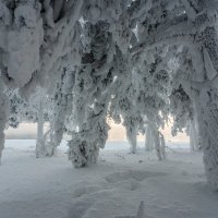 Зимняя сказка :: Анатолий Соляненко