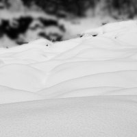 Большой снег. :: Андрий Майковский