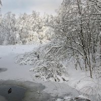 Солнечным днем на Серебрянке :: Светлана 