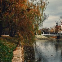 Парк Новодевичьи Пруды :: Михаил Родионов