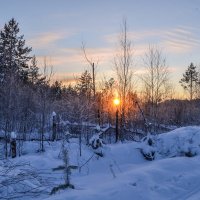 закатилось в лес :: сергей 