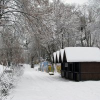 Зима в Гидропарке :: Виктор Марченко