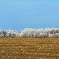 Первые заморозки :: Андрей Пахомов