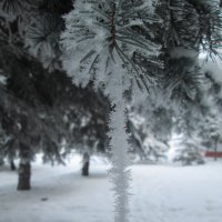 Мороз,снег и красота)) :: Алексей Кузнецов