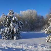 Зимнее утро :: Галина Кан