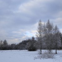 Декабрьский пейзаж :: Маргарита Батырева