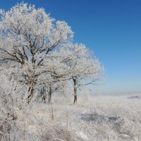 Вся земля невестою оделась... :: Вячеслав Маслов