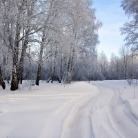 Зимник :: Геннадий Супрун