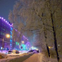 Улица зимой :: Вера Щукина