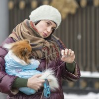 Дама с собачкой(2) :: Александр Степовой 