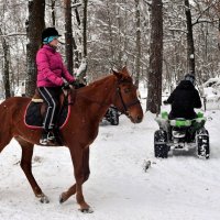 Можно и верхом на лошади, можно на квадроцикле. :: Татьяна Помогалова