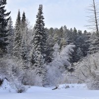 В Новогодний день :: Владимир Звягин