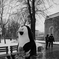 Пингвины ... :: Лариса Корженевская