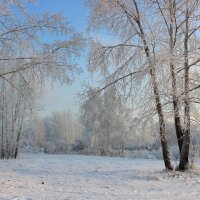 зимний пейзаж :: Ольга Гомзина